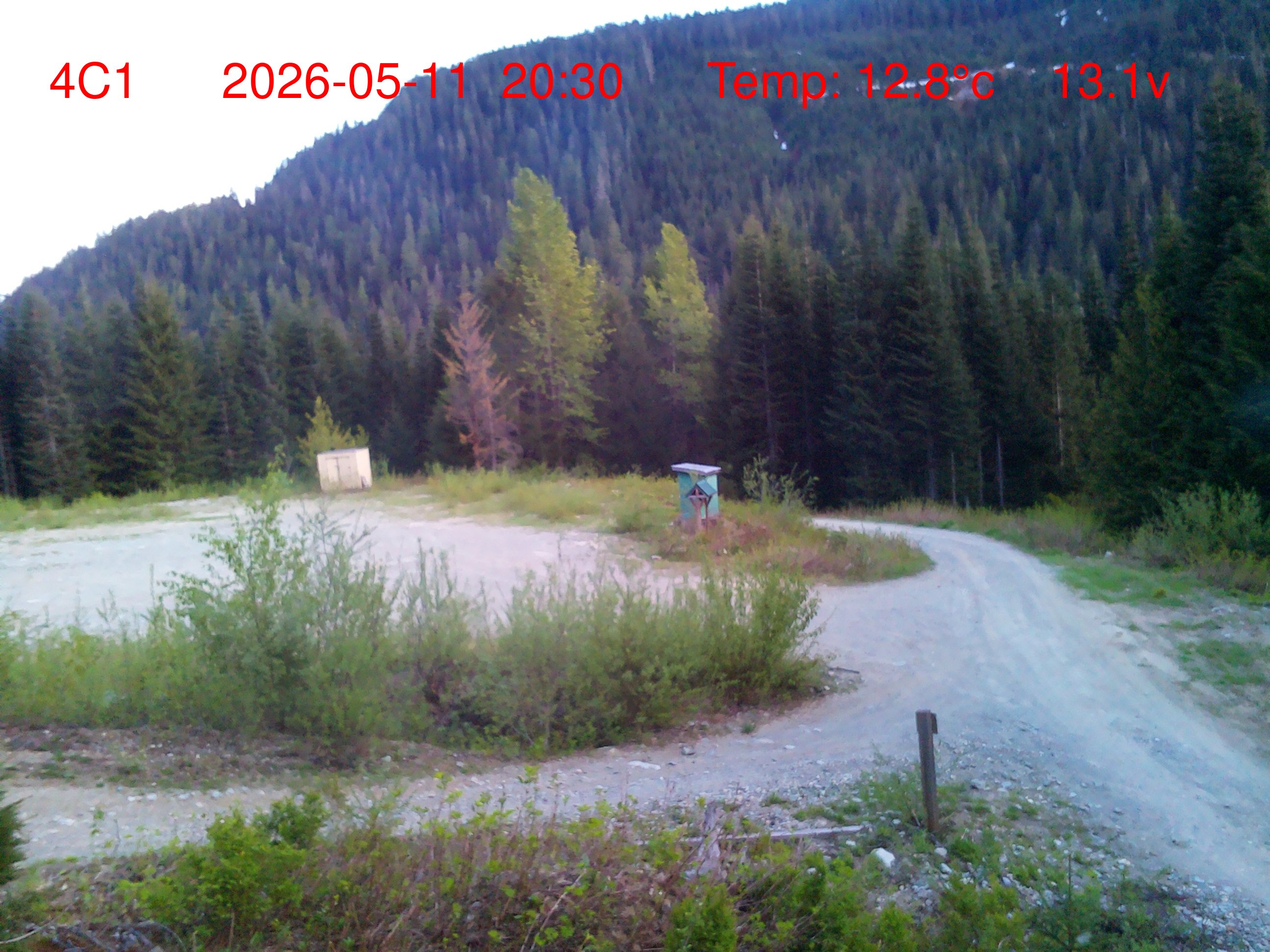 Sample Photo